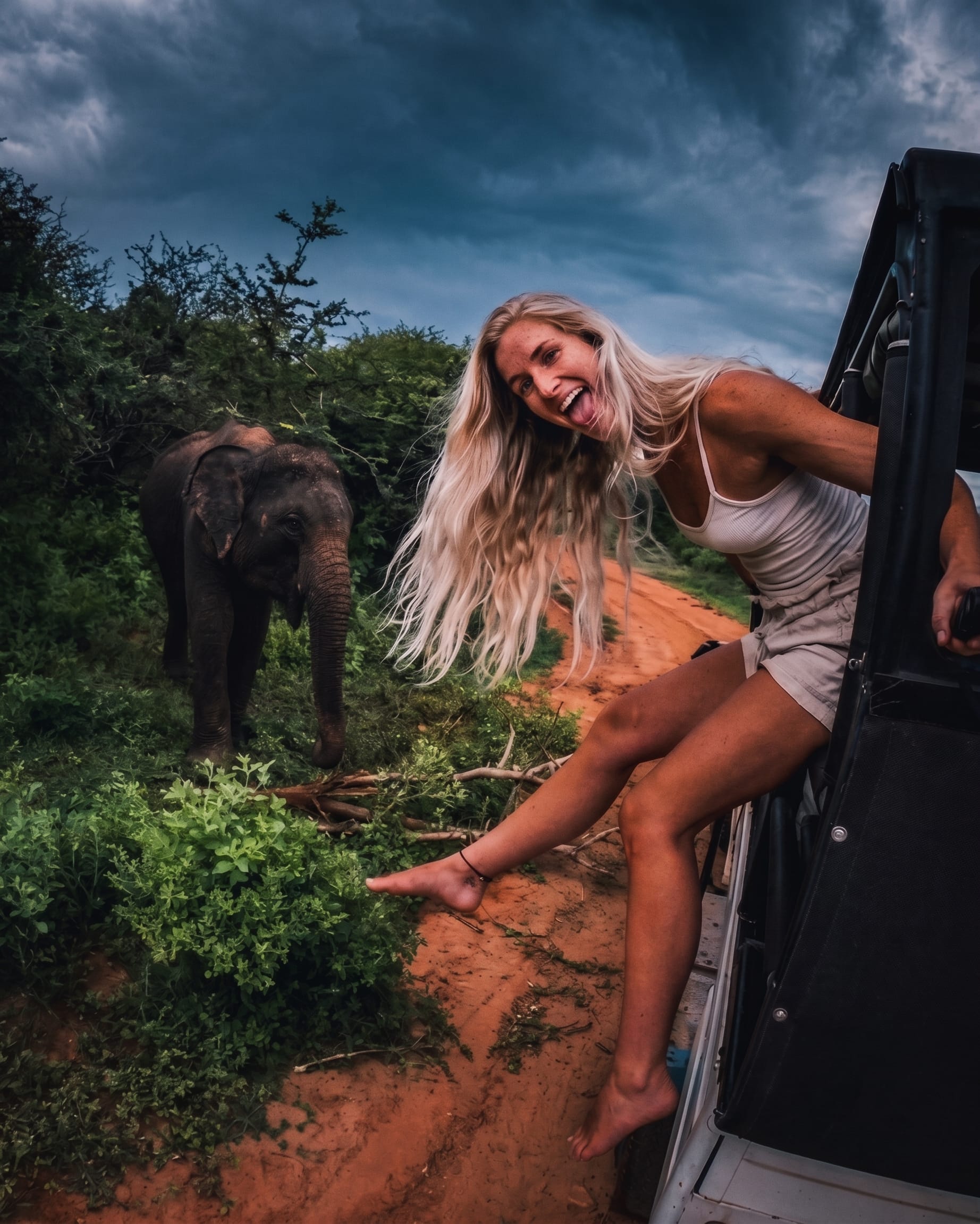 Morning Safari