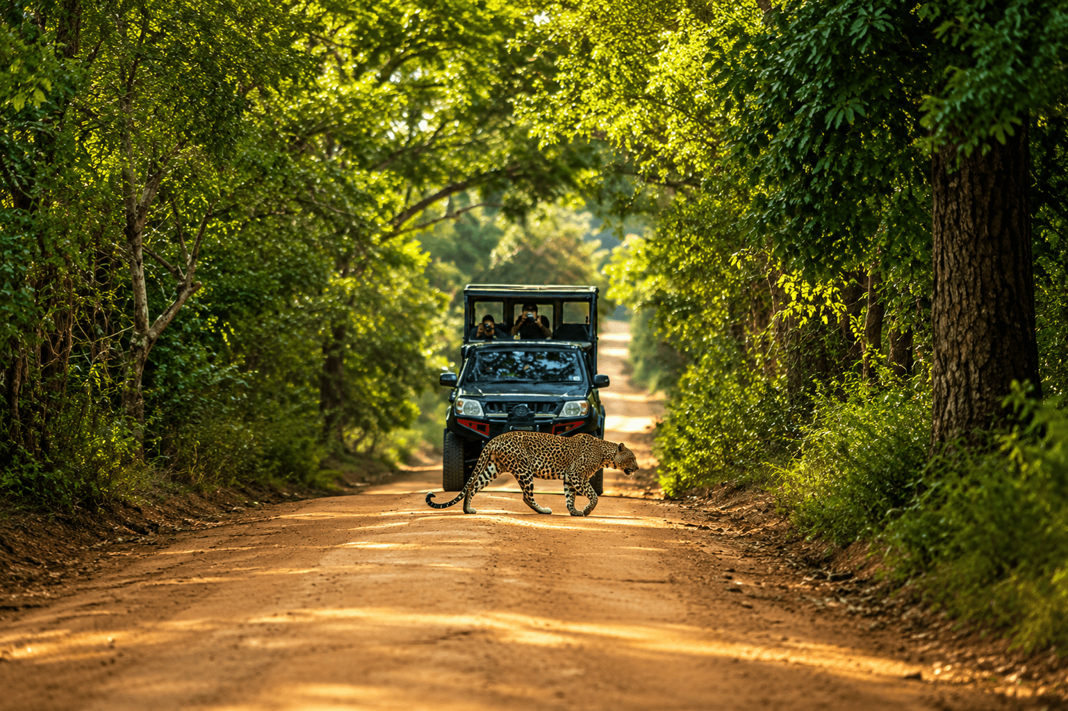 Yala National Park near Yala, Sri Lanka